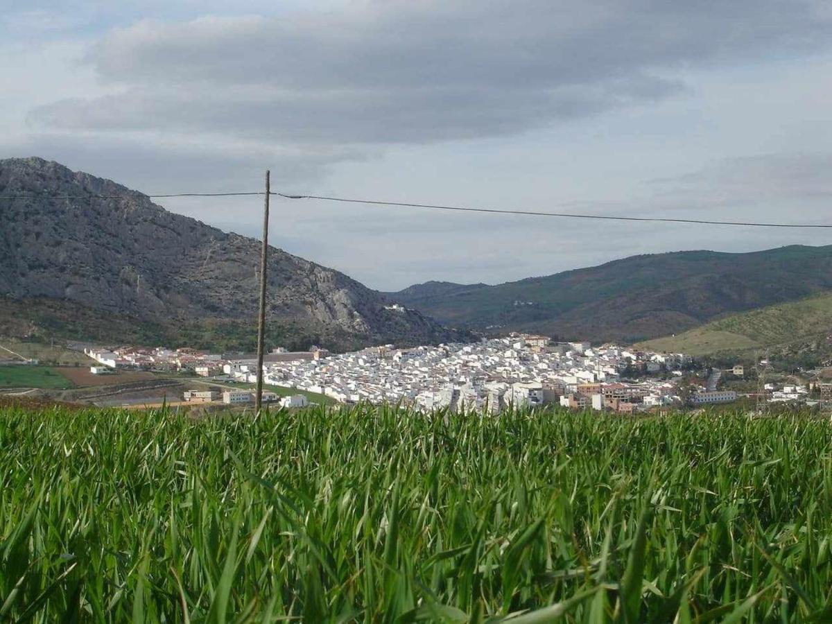 Valle de Abdalagís Mirador De La Eraゲストハウス エクステリア 写真